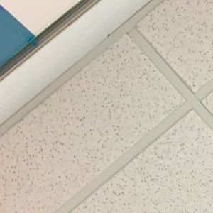 Meet your Posher, carry